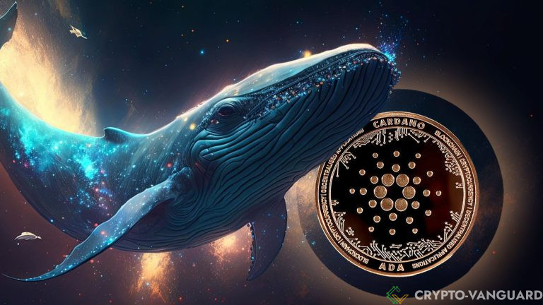 Cardano Whales