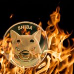 Shibarium Unveils Automatic Burn Portal - ShibTorch