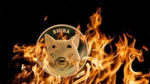 Shiba Inu Torches 44.6 Billion Tokens In 2024, Here’s All