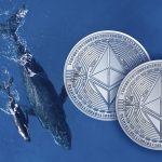 Ethereum Whale Wallets Dominate 57% of Total ETH Supply