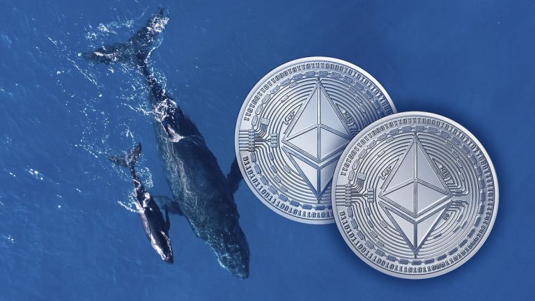 Ethereum Whale Wallets Dominate 57% of Total ETH Supply