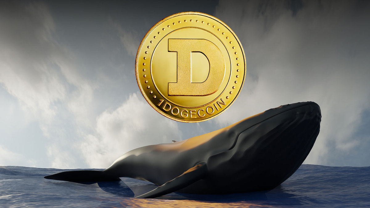 Dogecoin Whales in Accumulation Spree: Is DOGE Rally Ahead?