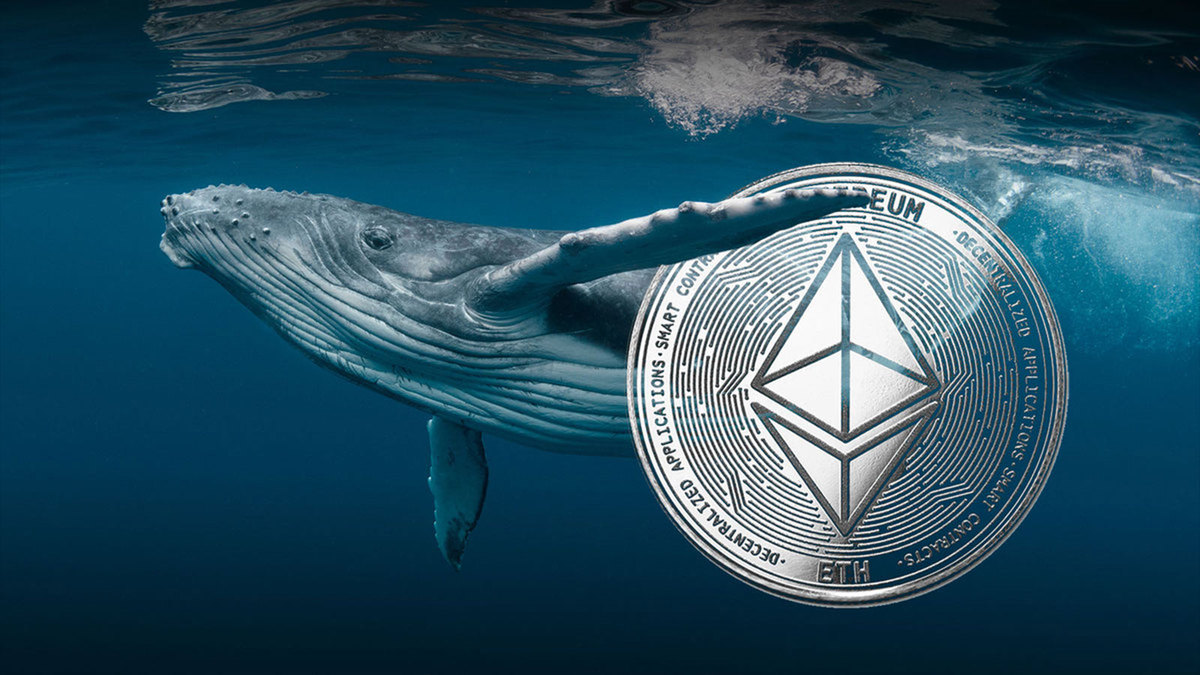 Ethereum ICO Whale Back To Live After 9 Years