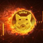 Shiba Inu Burn Rate Hit 772% As Price Nears a Breakout